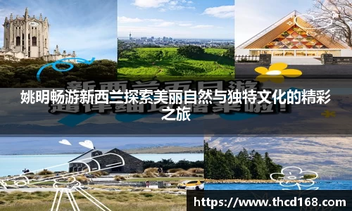 bsports必一运动
